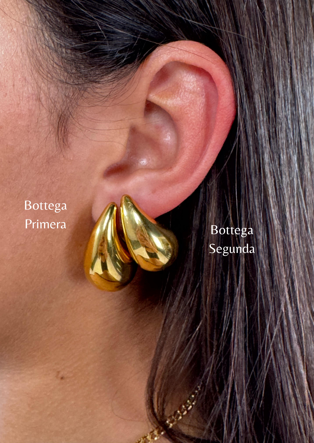 Bottega Primera